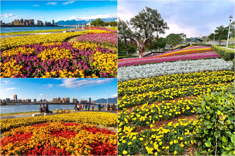 อะไรๆ ในไต้หวัน (2022-01-07) ทะเลดอกไม้ที่ต้าเต้าเฉิง เสน่ห์แห่งเมืองเก่าของไทเป