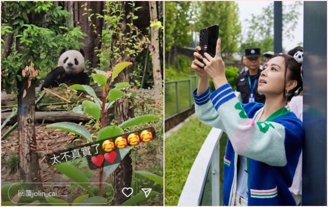 บันเทิงดอทคอม: น่ารักปุยมุ้ย~ เมื่อไช่อีหลินไปสวนสัตว์ดูแพนด้า เลยกลายสภาพเป็น FC สาวไปซ๊า บันเทิงดอทคอม: น่ารักปุยมุ้ย~ เมื่อไช่อีหลินไปสวนสัตว์ดูแพนด้า เลยกลายสภาพเป็น FC สาวไปซ๊า