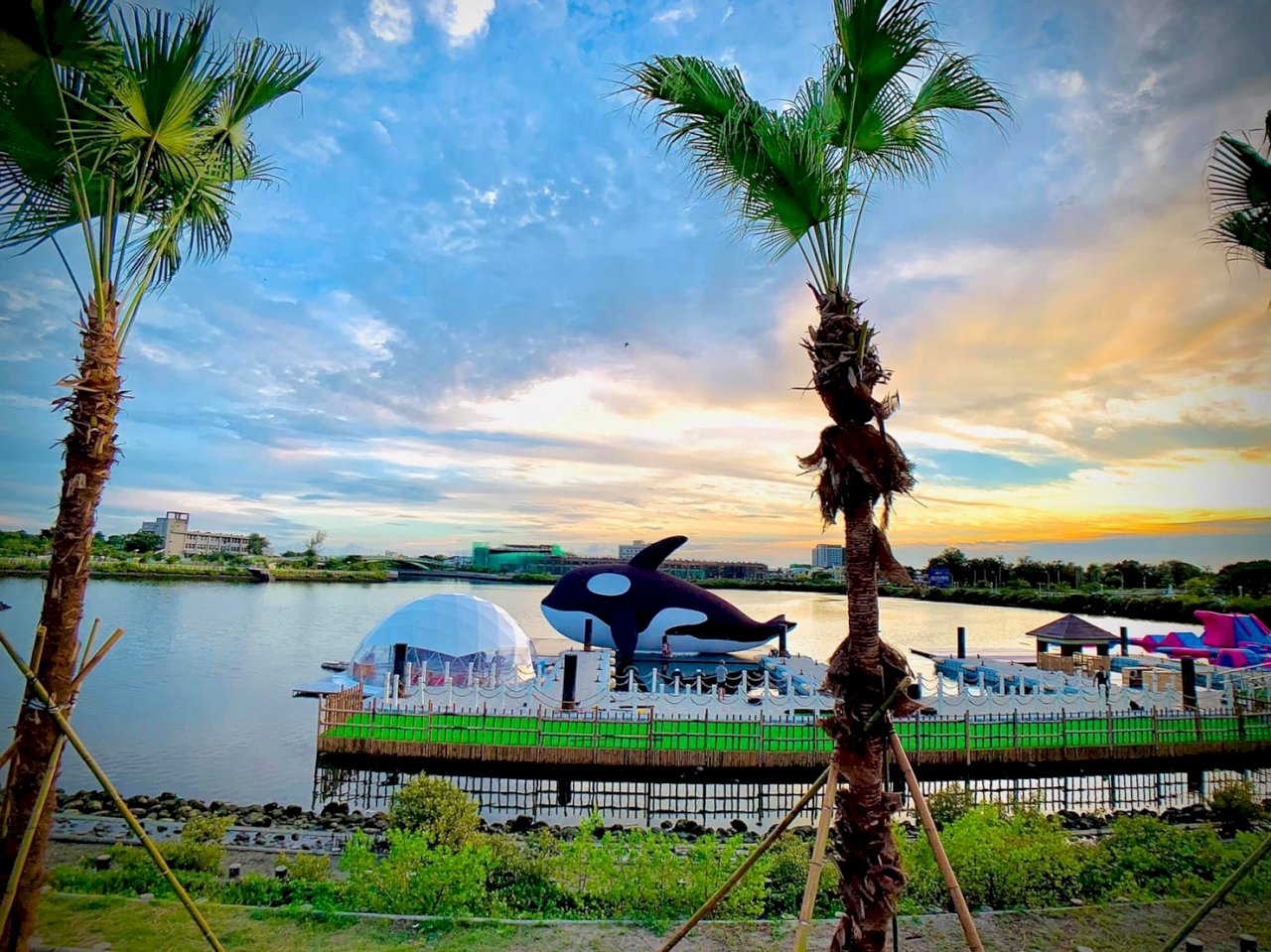 นครไถหนานจัดกิจกรรมต้อนรับซัมเมอร์ ชื่อว่า “วาฬเพชฌฆาต Orca” ที่สวนสาธารณะอันผิงถึง 18 ต.ค.นี้