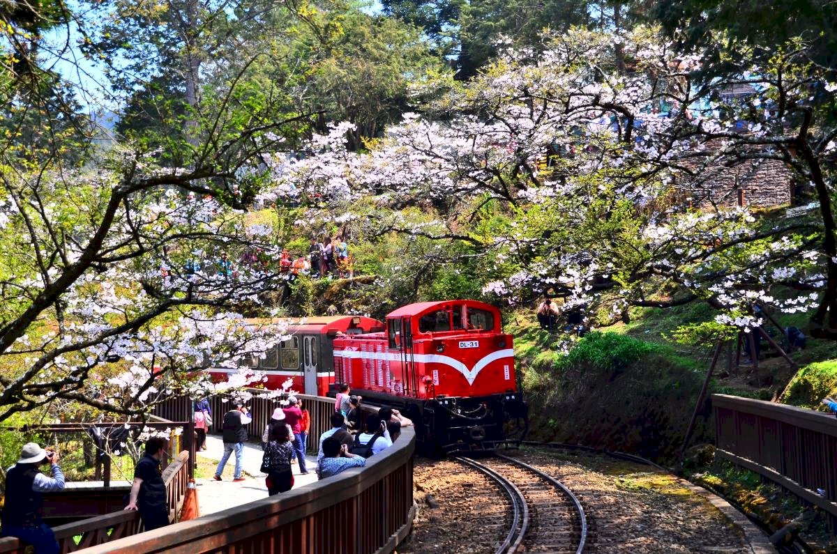 เปิด 5 สถานที่ชมดอกไม้ในไต้หวัน ช่วงหยุดยาววันสันติภาพ 28 กุมภาพันธ์