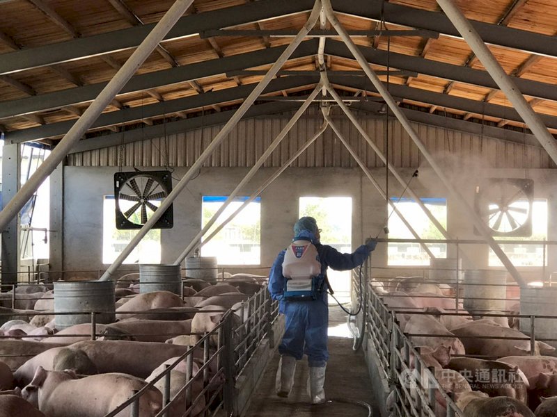 เกาสงเริ่มใช้ 4 แนวทาง เพื่อป้องกันการแพร่ระบาดของโรคอหิวาต์แอฟริกาในสุกร