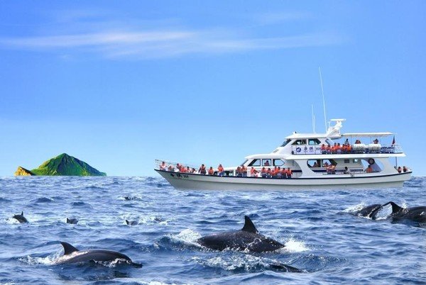 เทศบาลเมืองอี๋หลานเชิญชวนนั่งเรือชมปลาวาฬและหิ่งห้อยที่เกาะกุยซาน