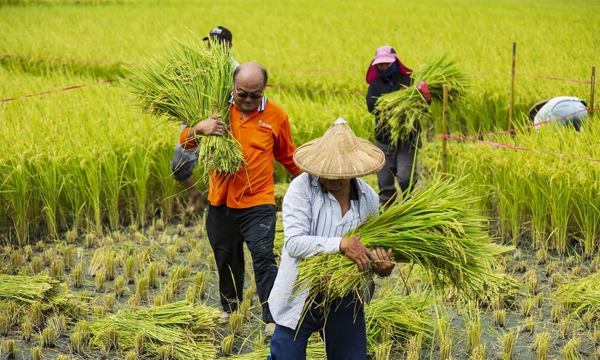 ไต้หวันตั้งเป้าหมายอัตราการพึ่งพาตัวเองด้านอาหารอยู่ที่ 40%