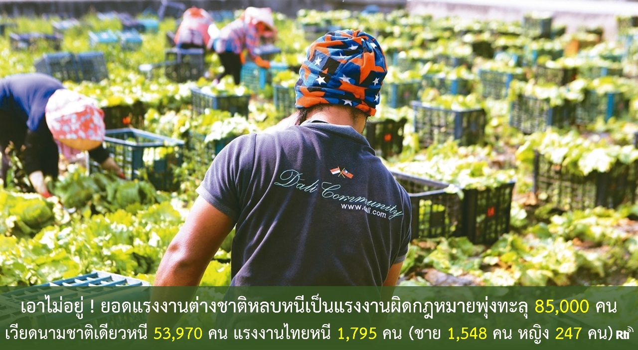 ขุนพลแรงงานไทย วันศุกร์ที่ 3 พฤศจิกายน 2566