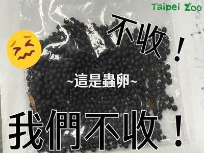 ตะลึง!! สวนสัตว์ไทเปได้รับซองจดหมายบรรจุไข่ตั๊กแตนกิ่งไม้ เตือนประชาชนอย่าทอดทิ้งสัตว์
